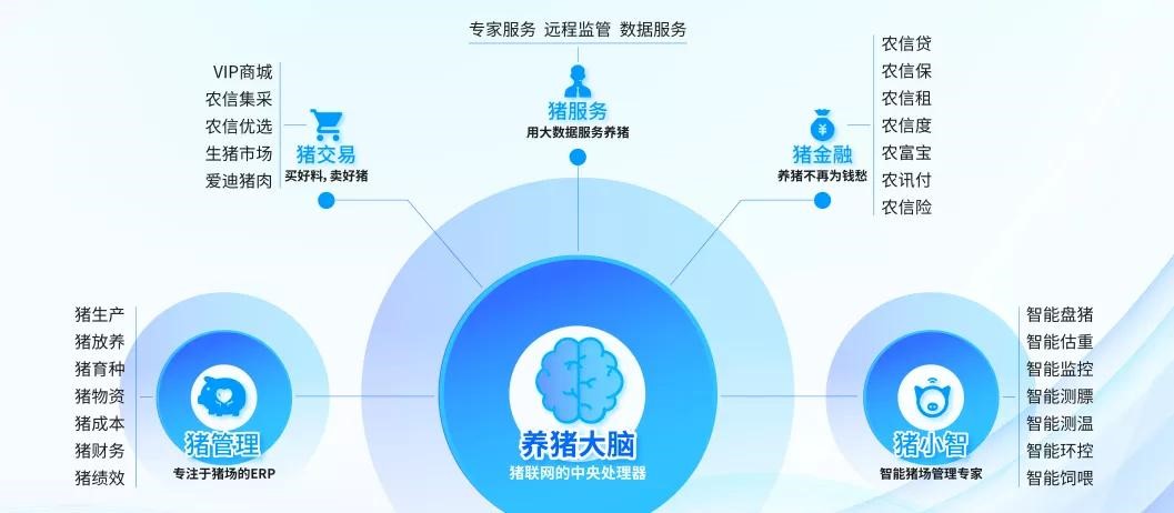 企联网--企业数字化升级的核心引擎